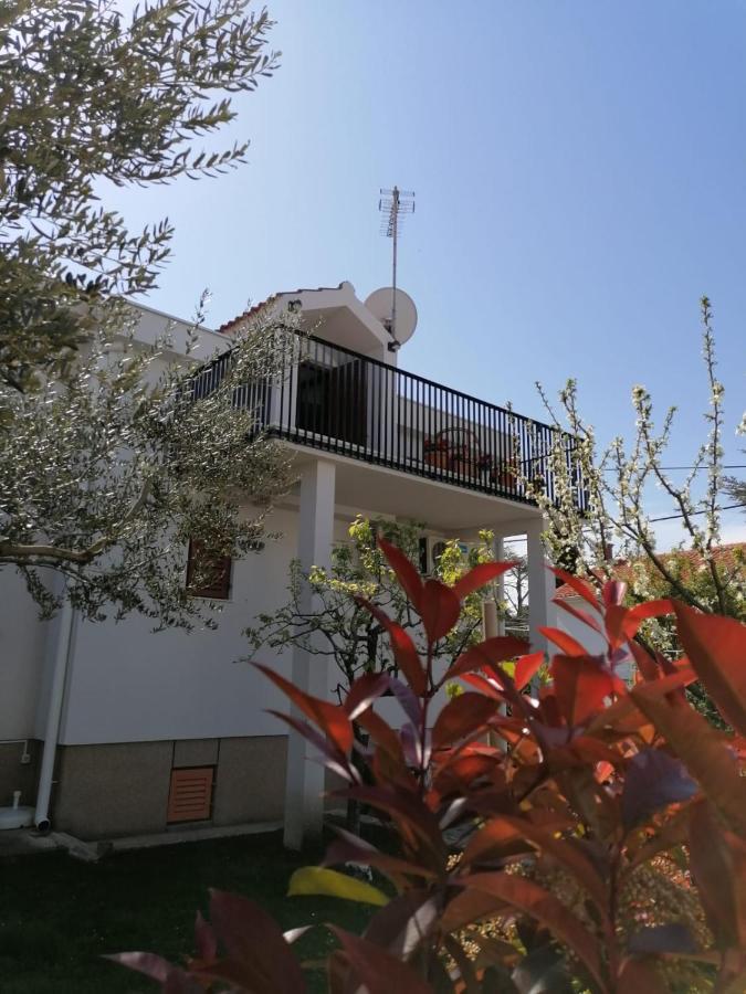 Apartment Magnolia Petrcane Exterior photo