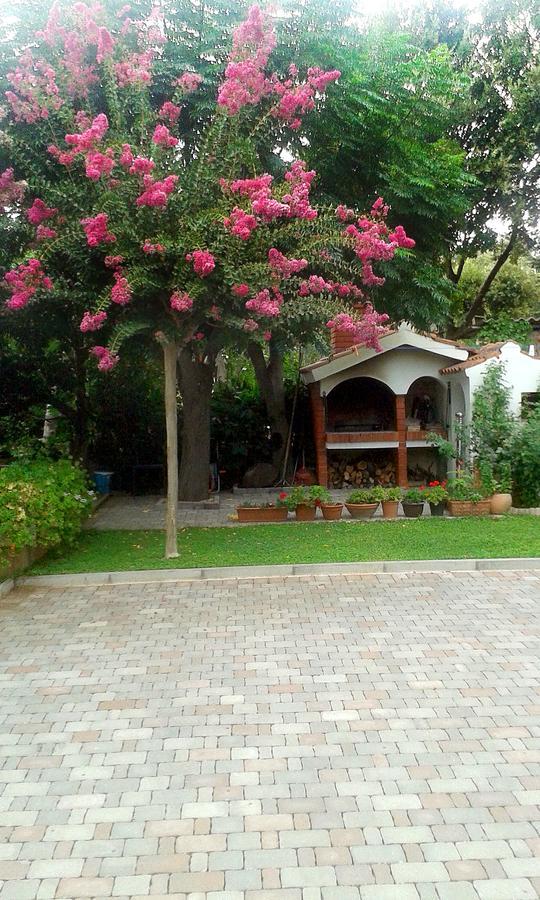 Apartment Magnolia Petrcane Exterior photo